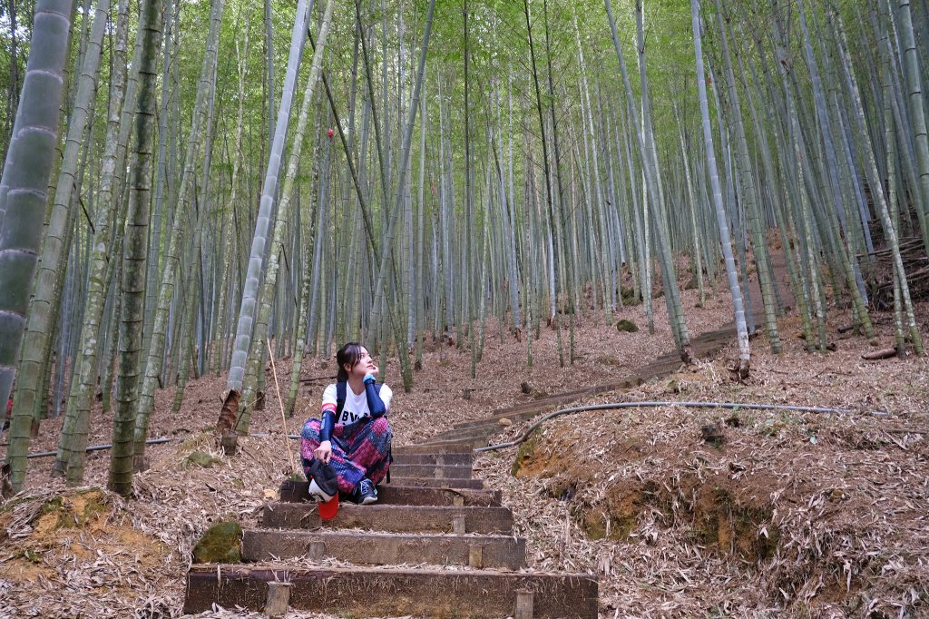 石壁山封面圖