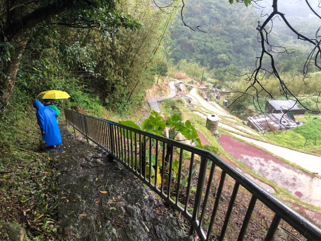 聖人瀑布、坪頂古圳步道、大崎頭步道_1661865