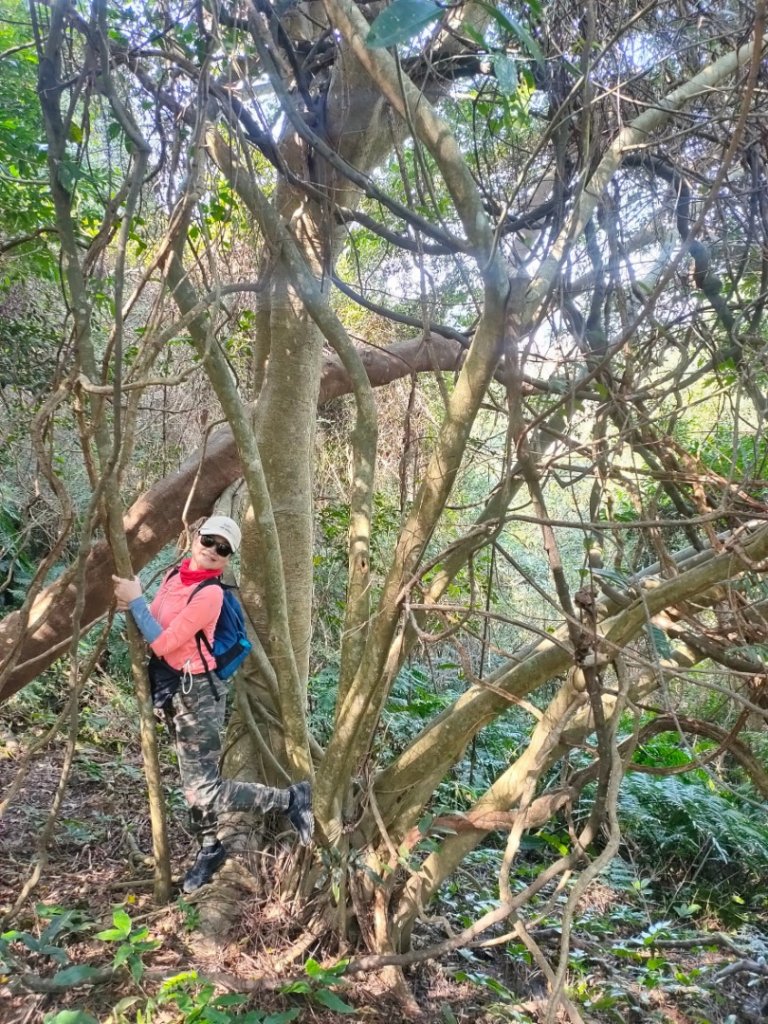 灣潭山和美山O型小走走_1279289