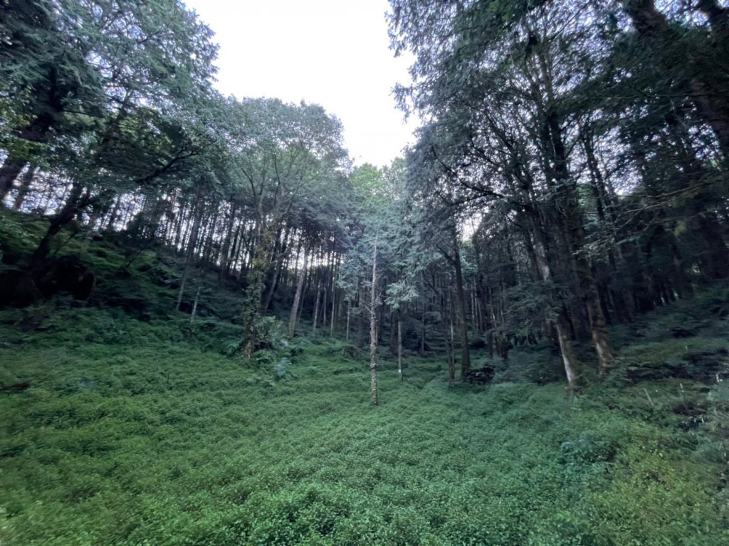 小百岳(59)-大塔山-20220925_1878619