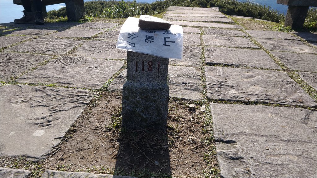 20191208 桃源谷步道(灣坑頭山)_817734