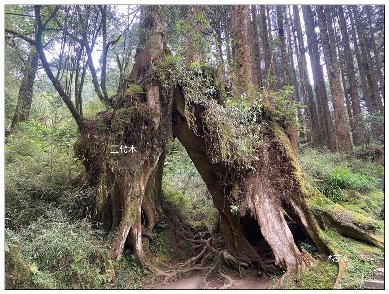 大塔山 (小百岳最高峰)_2773216