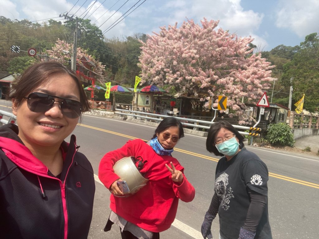 南橫中之關→天池步道_905426
