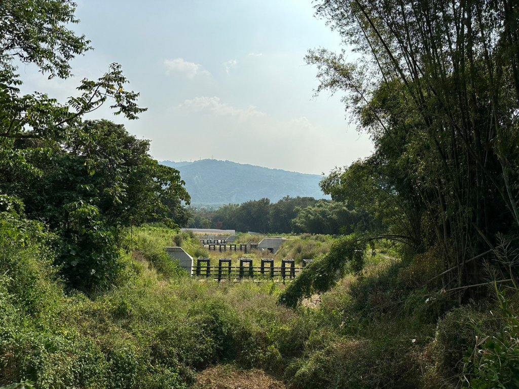 九九峰森林步道_1865852