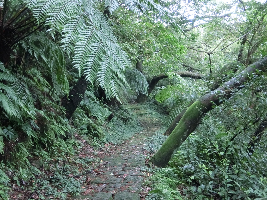 魚路古道（天籟八煙段）．八煙聚落_95175