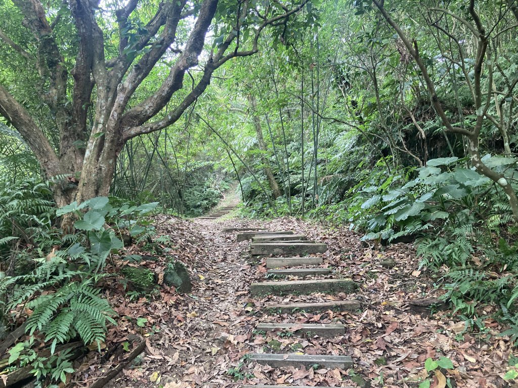 土庫岳_2527735