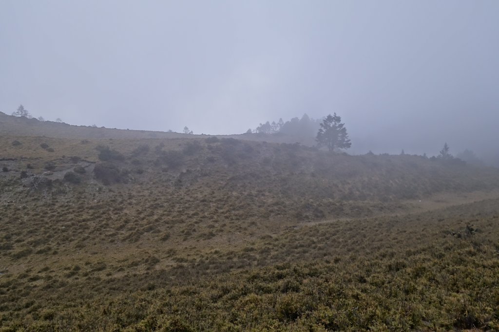 亢龍有悔[南三段]_904403