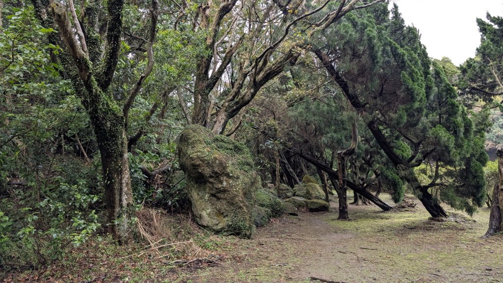 114.12.27尖山-40砲陣地之旅_2971731