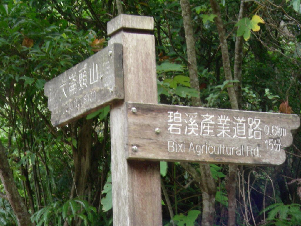 大崙頭山親山步道_112720