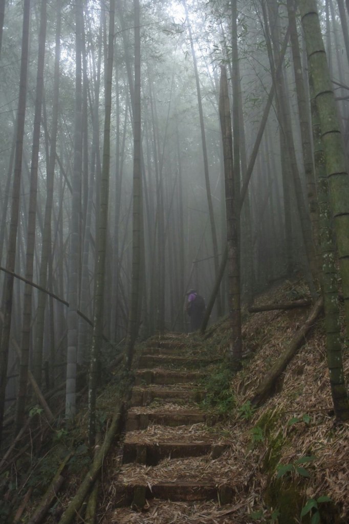 20160925_四大天王步道_873558