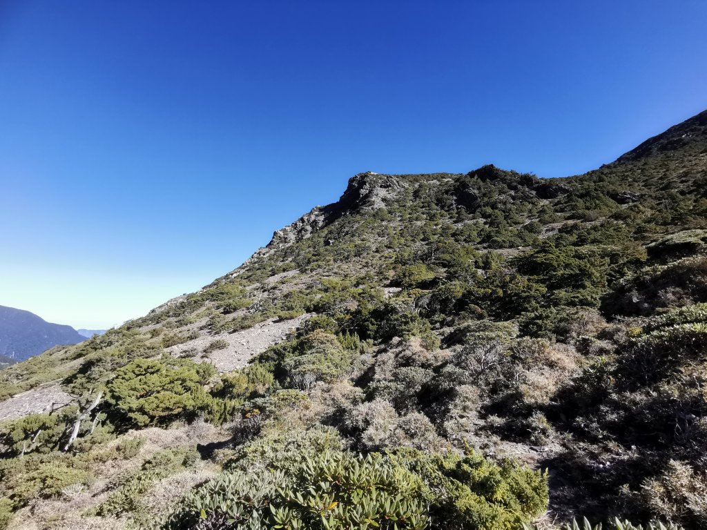 2022-07-21八大秀_1789293