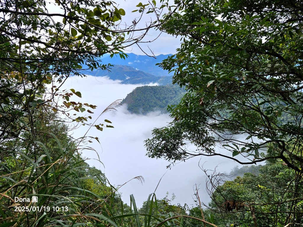 小百岳馬那邦山(H1407m)加碼採草莓_2694655