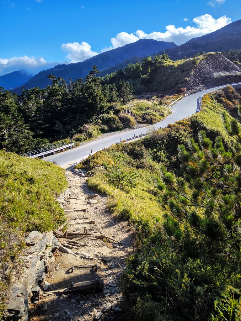 2025-11-07 合歡北峰、小溪營地、鷹石尖、北峰名樹_2934442