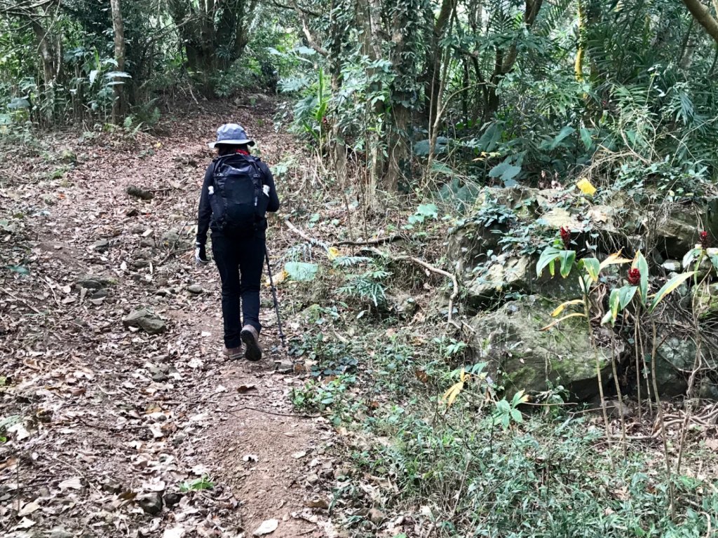 烏山步道走刣牛湖山_468631