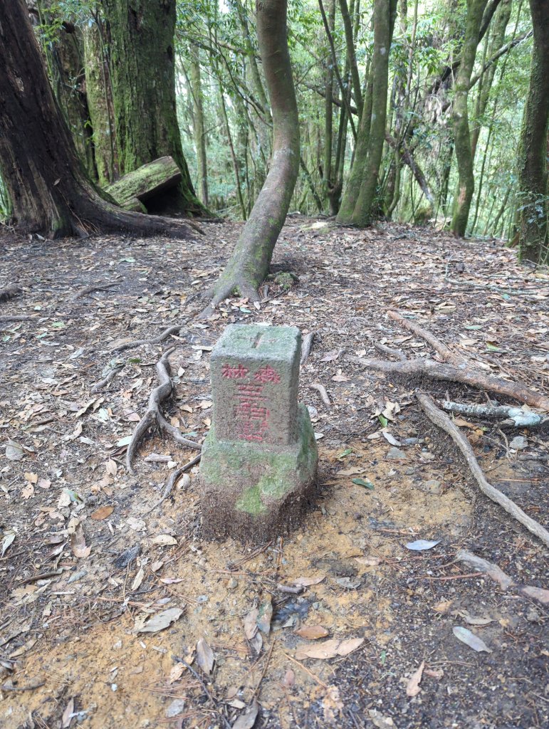 2022.02.26－稍來山_1621953