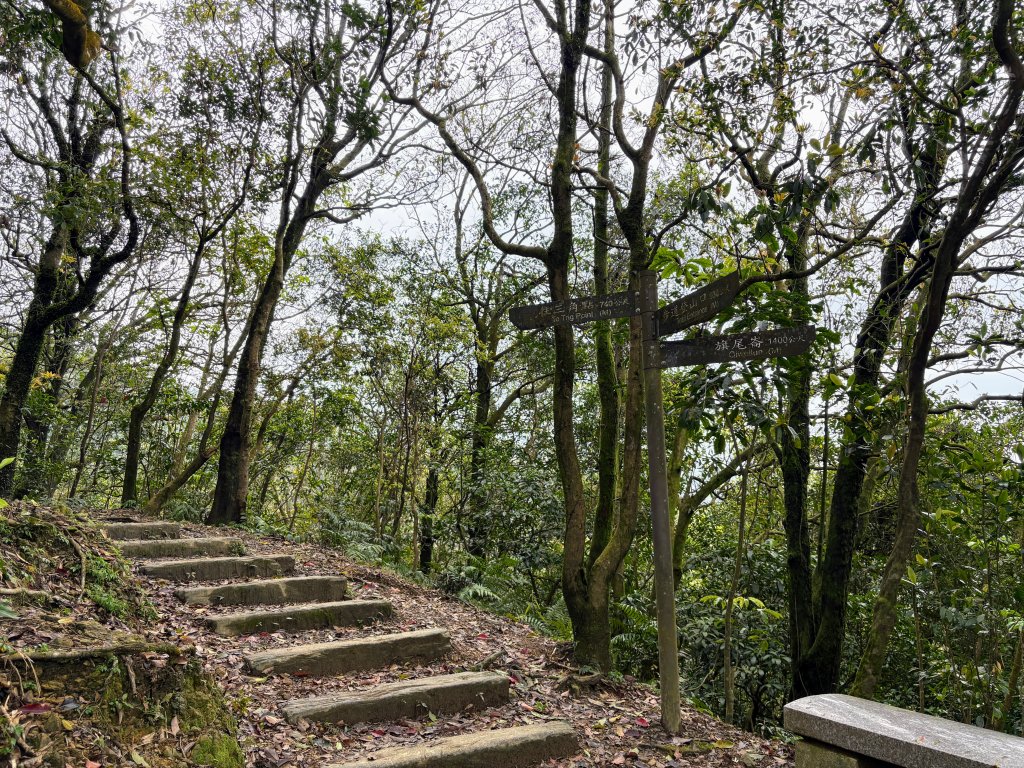 姜子寮山_2736848