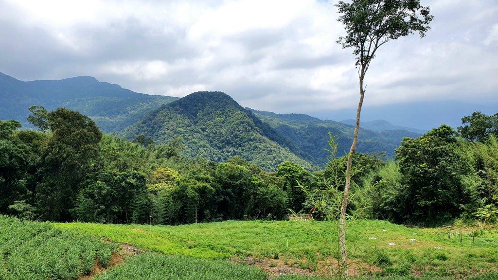 桃園東眼山，親子峰，尾寮崎古道，小角仔古道，街口溪步道，三峽阿屘尖，神木尖，牛角尖，牛角坑山_1757505