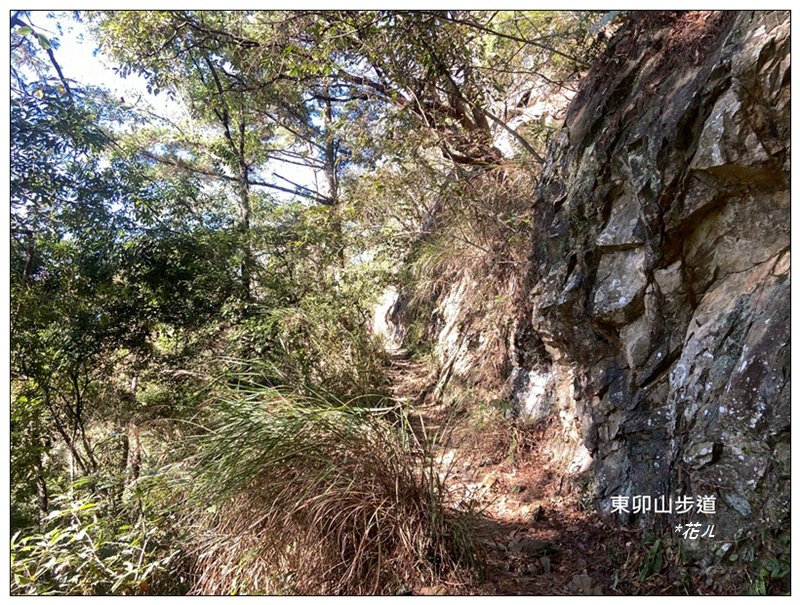 東卯山、東卯山西峰、東卯山西南峰 連走_2932789