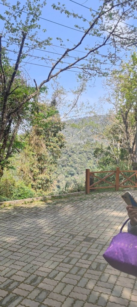 拉拉山國家森林遊樂區_2752197