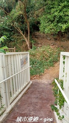 【苗栗三義】台灣百大必訪步道。 火炎山、南鞍古道O繞x火炎山下花海_2954148