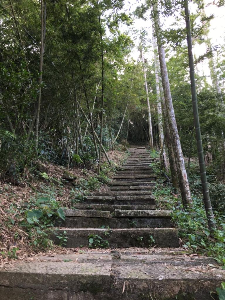 雲林大尖山、二尖山步道_341059