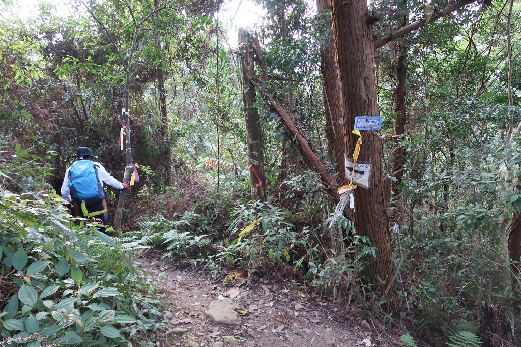 雙石縱走_2771158