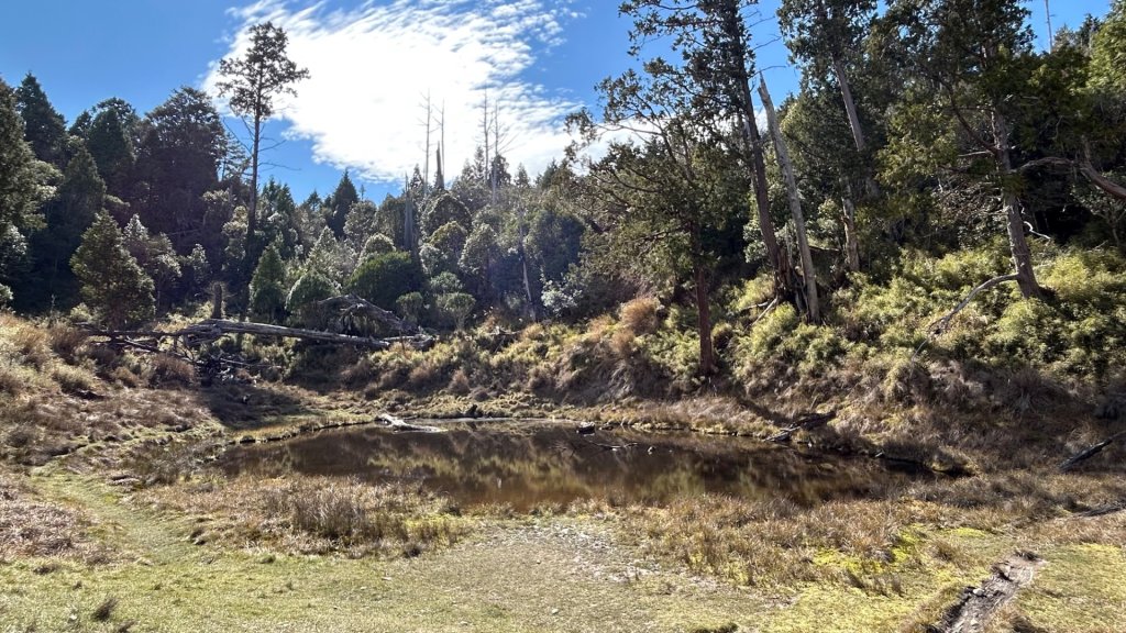 大同加羅湖穆魯洛亞滬庫霞四季警備道_2748265