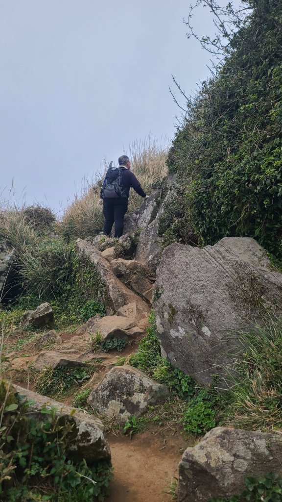 2026-0116 大屯三山_貴子坑_北投_2984749