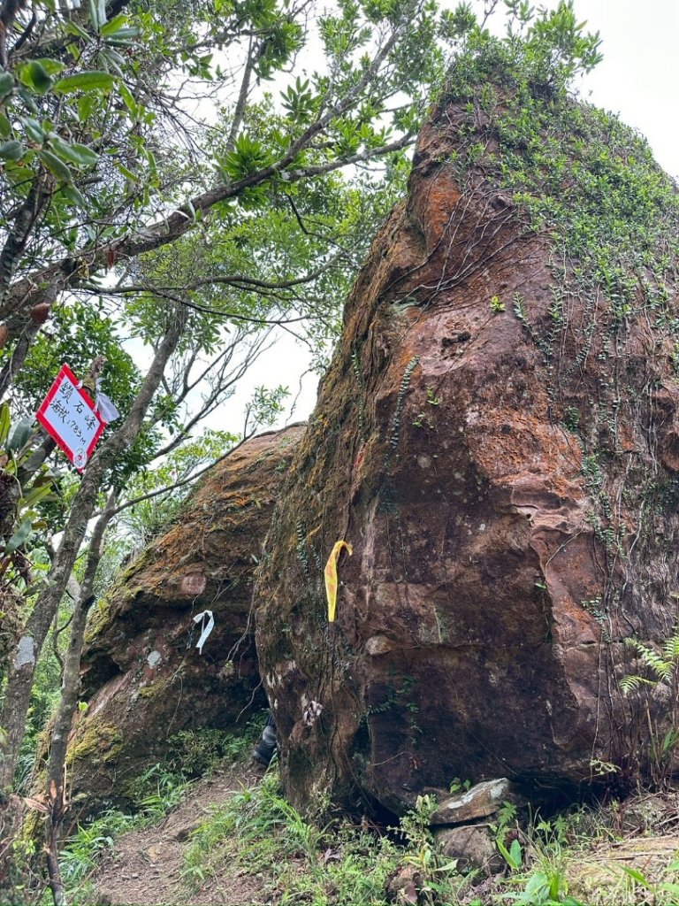 南勢坑山、鑽石峰、人面頭山、獅公髻尾山O走_2809808
