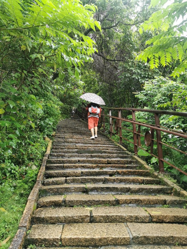 雨中漫步北部山岳-二格山、土庫岳、象山道_1136756