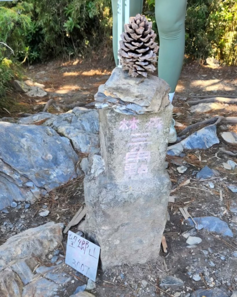【百岳】郡大山，郡大山北峰，望鄉山_2741913