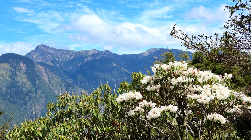 鹿林山+石水山+東埔山 20240402_2481620
