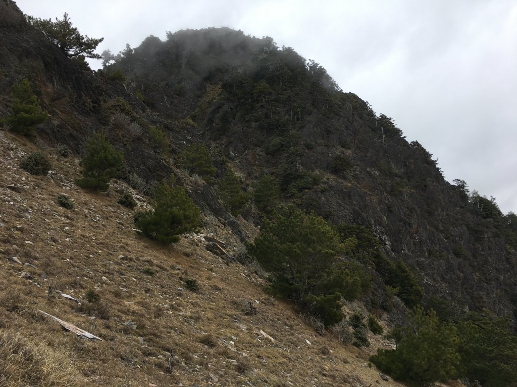 八通關山、八通關山西峰、秀姑巒山_526185