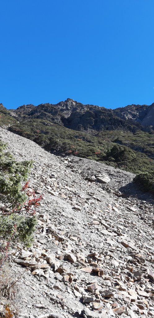 玉山前四峰之旅_869563