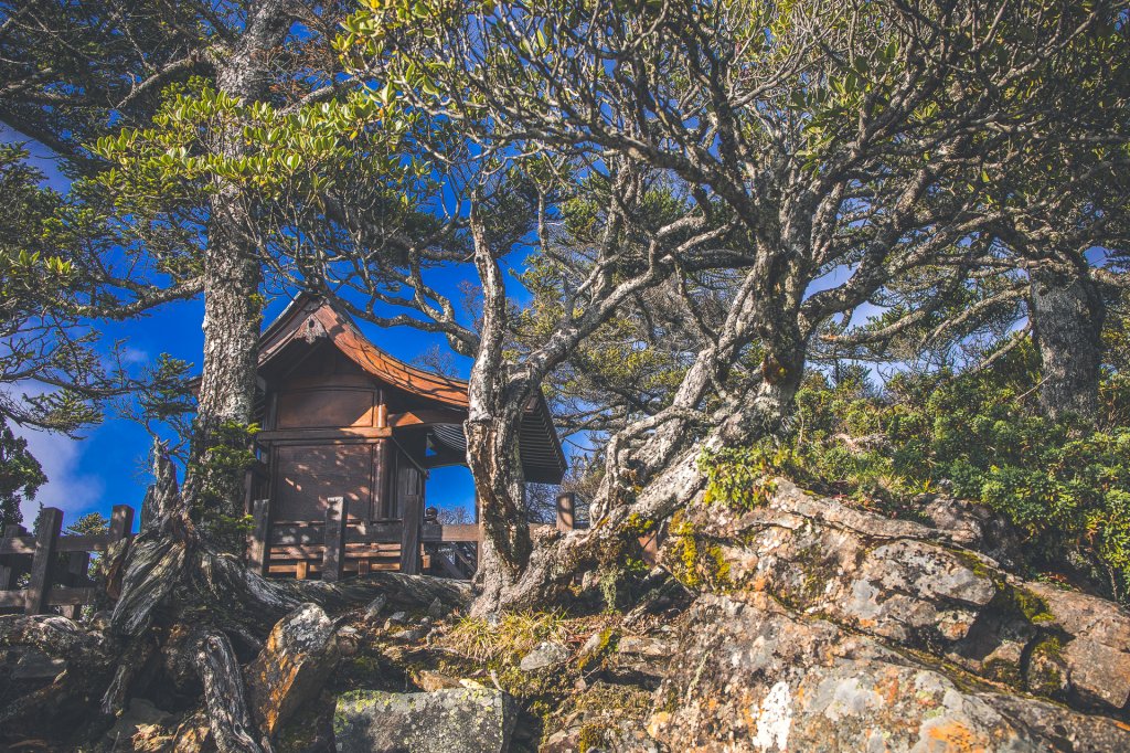 20200920～21-[嘉義] 玉山主西北峰_1632946