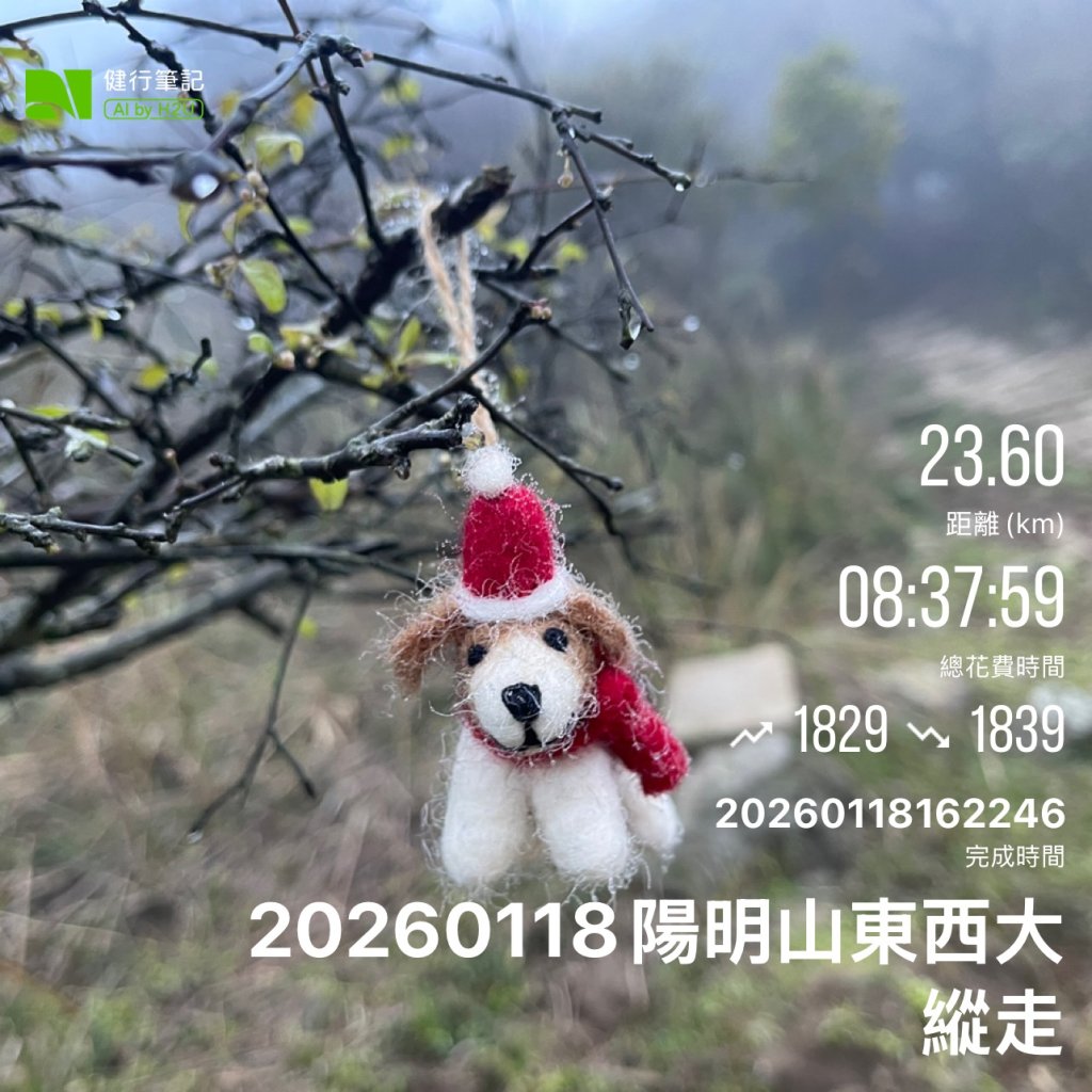 20260118陽明山東西大縱走封面圖