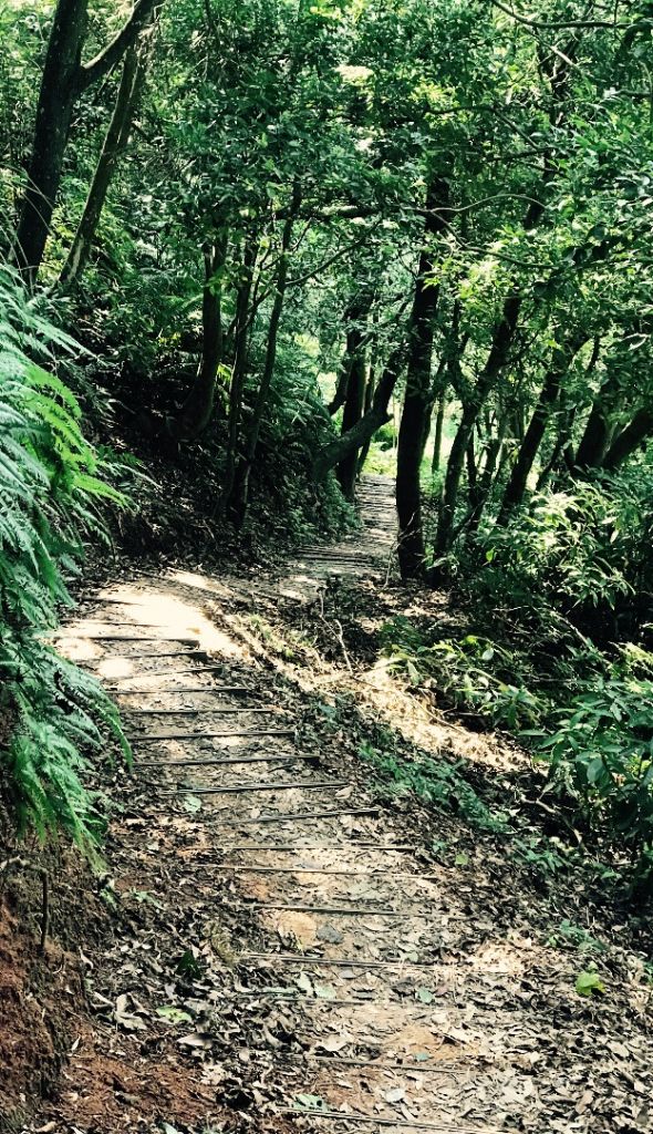 頂福巖登山步道_157987