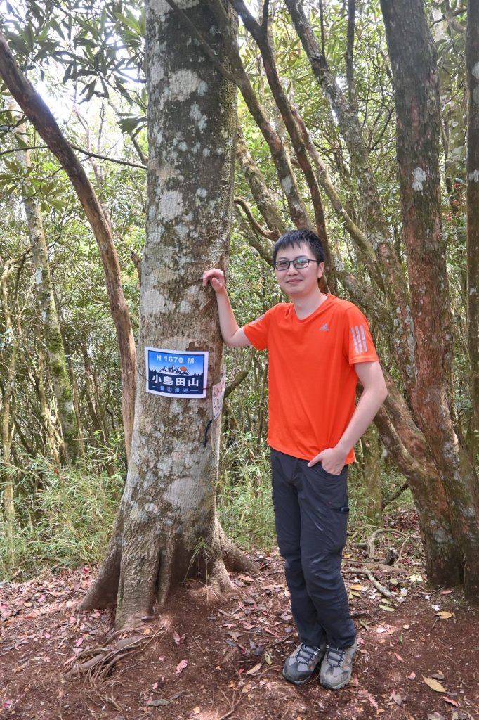 中級山-高島縱走_2888369