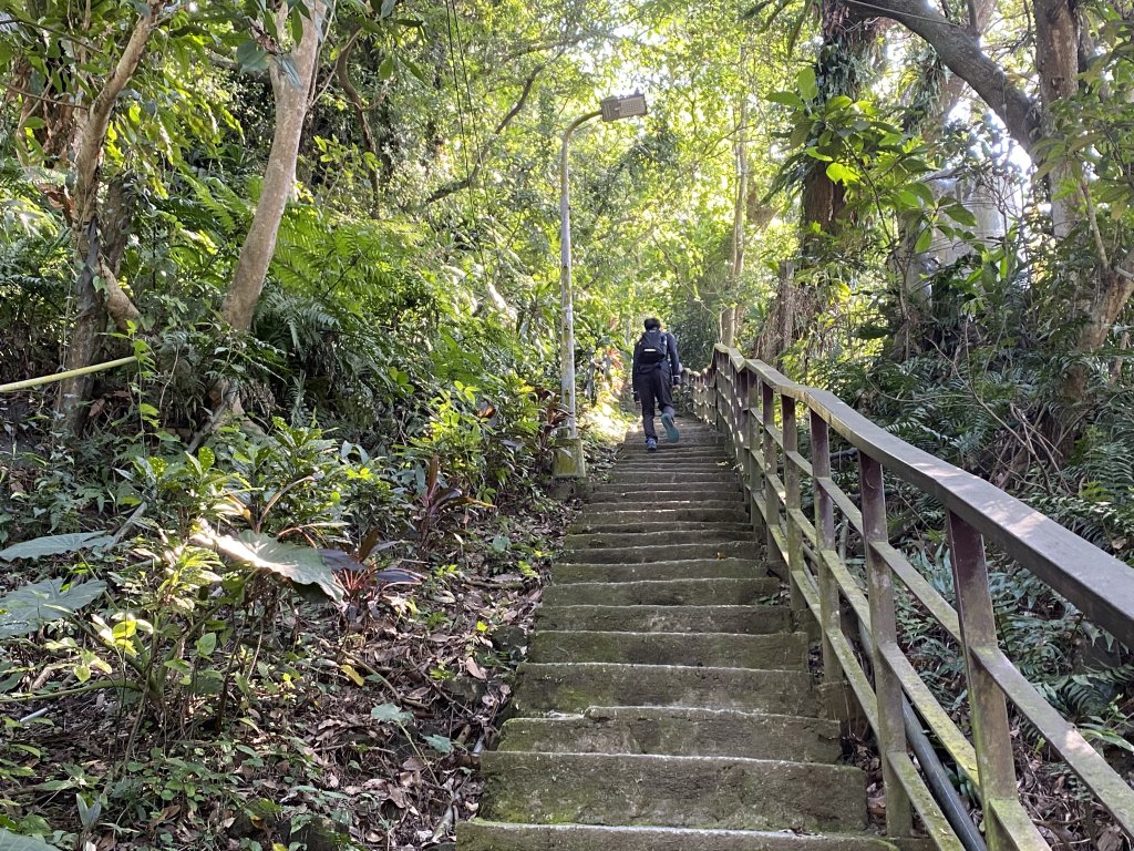 四獸山健走紀錄｜冬日九五峰健走｜福德街51巷起登 × 豹山溪步道下山_2985900