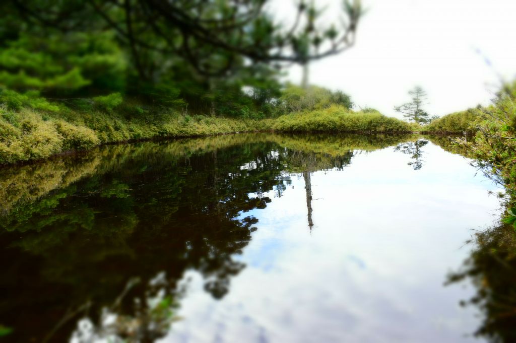 嘉明湖登山步道_128931