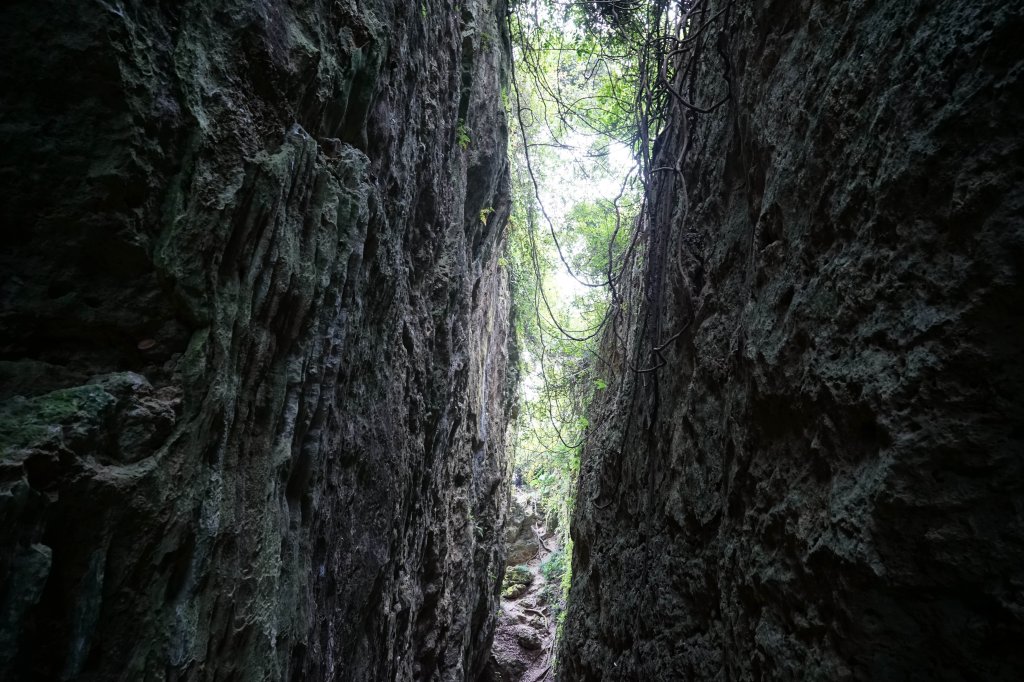 【霧霾】【柴山龍谷步道】_2711776