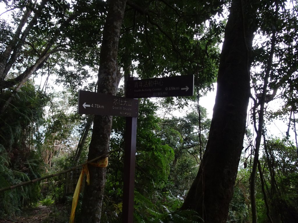 2022年02月13日(彰山協)南投日月潭四兄妹之中級山~大尖山縱走水社大山_1613495