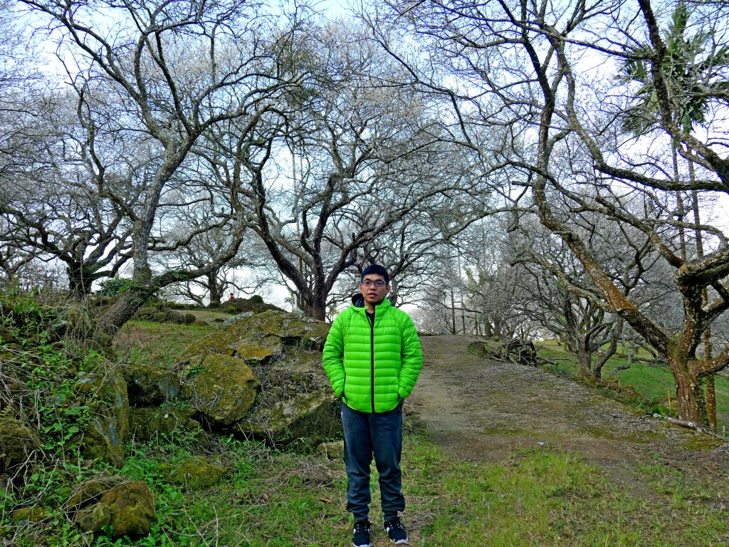 南投中寮劉家梅園、九份二山賞梅趣    2018/01/13_251497