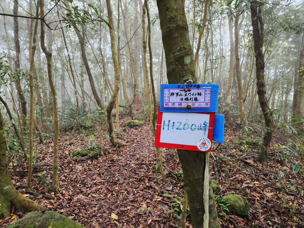 20230409那羅山、煤源山、大混山、道下山O型_2141975