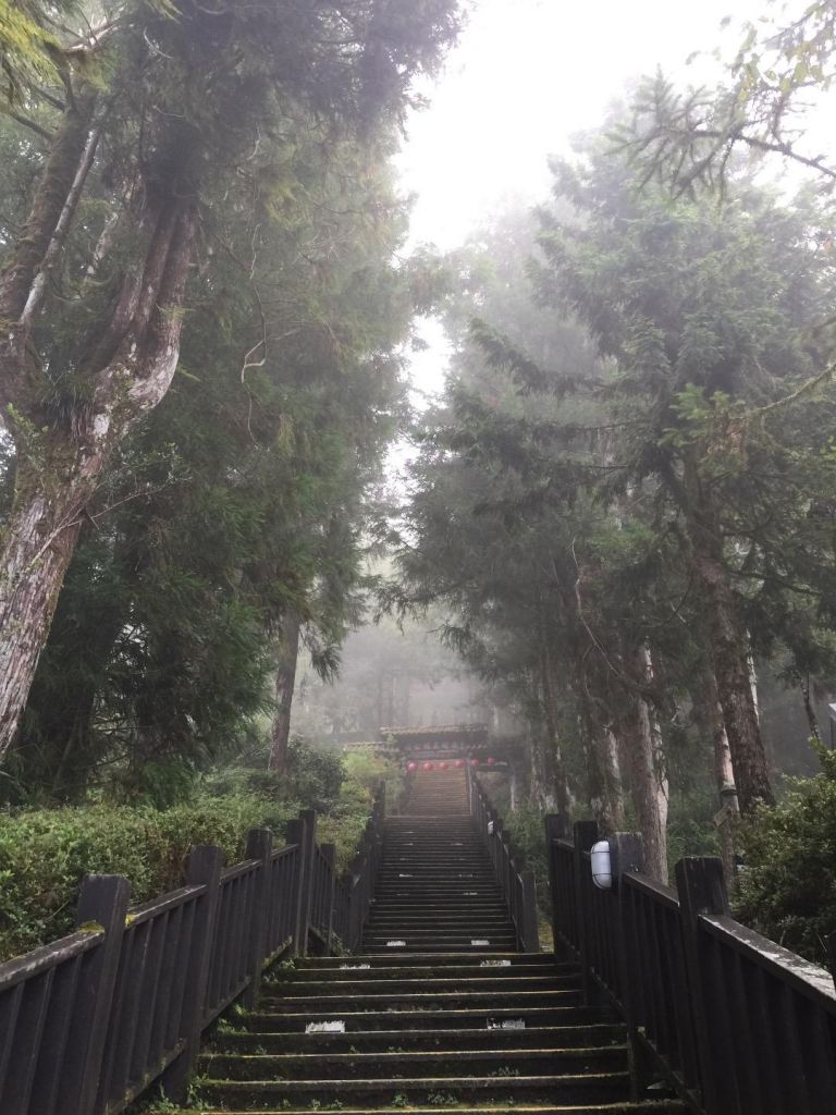 太平山檜木原始林步道封面圖