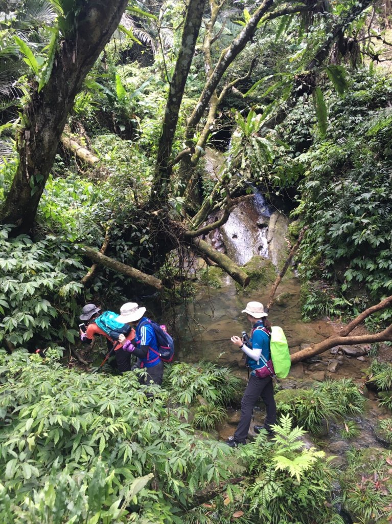 白石湖白石山木橋東興橋石龜坑O形_970512