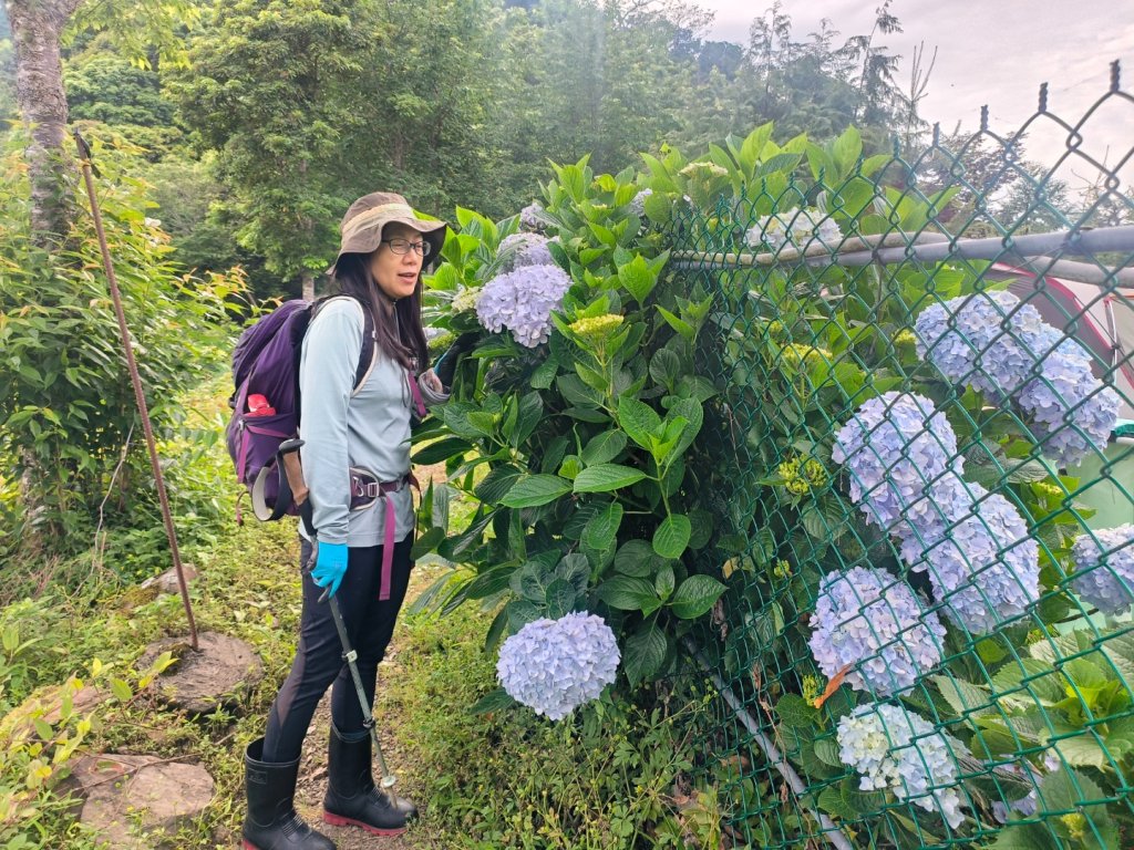 1130511夫拉縱走_2500134