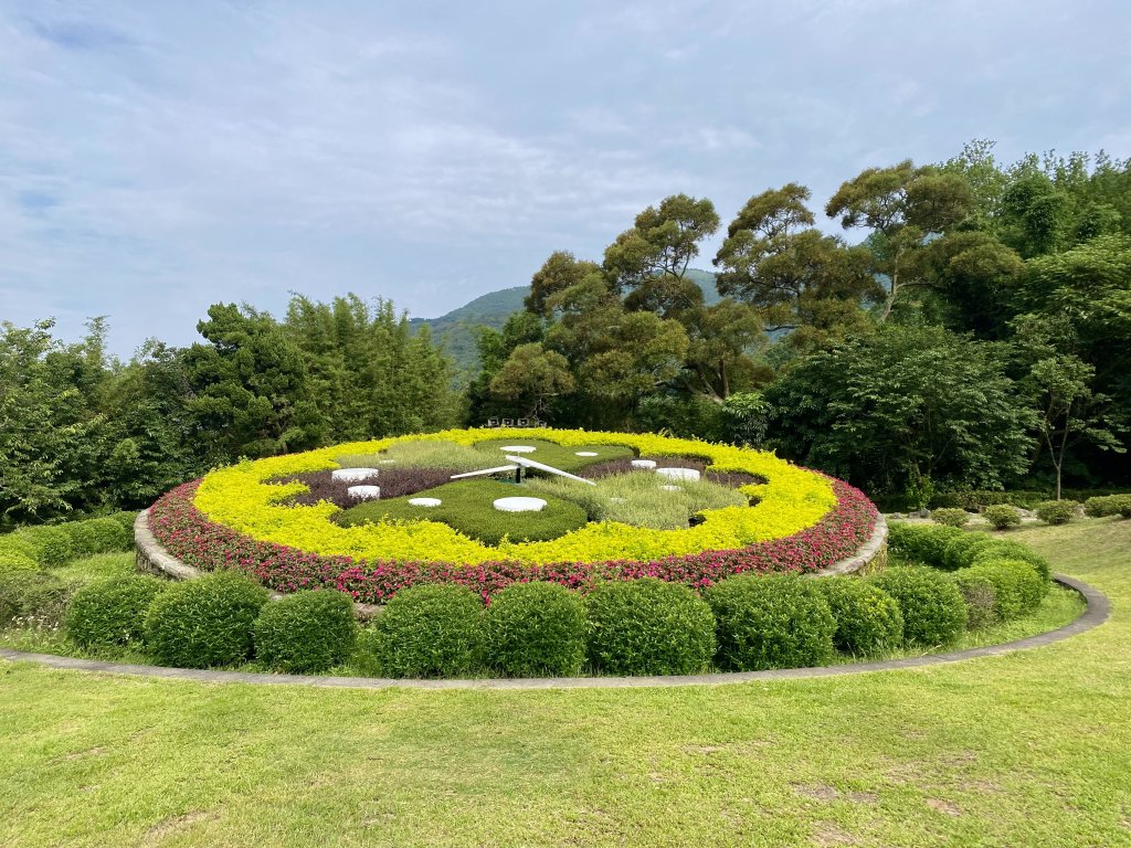 《陽明山的山林片刻｜沿著青春嶺路走向山野的綠意》封面圖