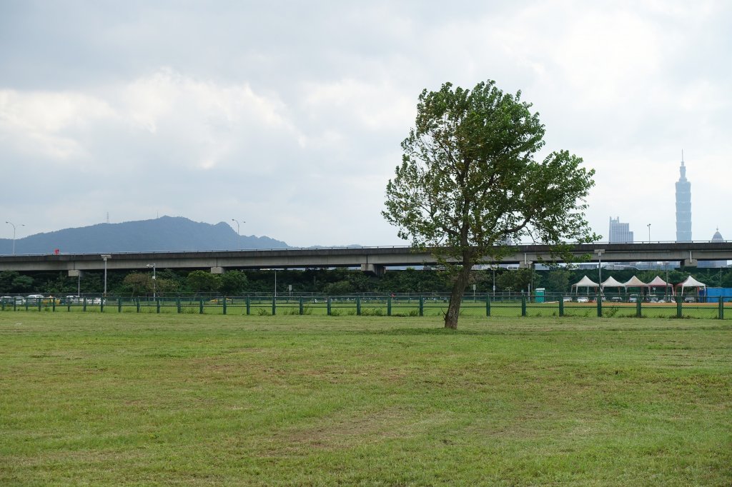 迎風河濱公園．大佳河濱公園_1147267