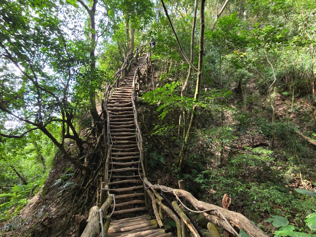 大坑一號、大坑五號（小百岳）封面圖